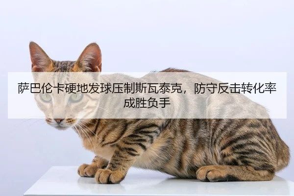 sa-ba-lun-ka-ying-di-fa-qiu-ya-zhi-si-wa-tai-ke-fang-shou-fan-ji-zhuan-hua-lv-cheng-sheng-fu-shou-2-806.jpg