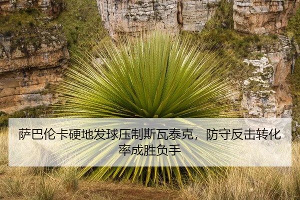 sa-ba-lun-ka-ying-di-fa-qiu-ya-zhi-si-wa-tai-ke-fang-shou-fan-ji-zhuan-hua-lv-cheng-sheng-fu-shou-3-378.jpg