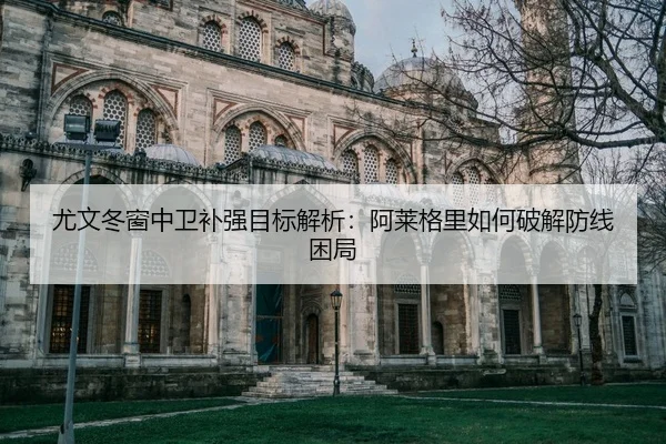 you-wen-dong-chuang-zhong-wei-bu-qiang-mu-biao-jie-xi-a-lai-ge-li-ru-he-po-jie-fang-xian-kun-ju-2-467.jpg