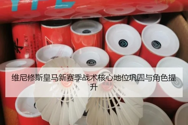 维尼修斯皇马新赛季战术核心地位巩固与角色提升